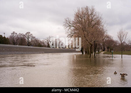 Météo temps frais et deux jours de pluie, neige et pluie verglaçante était trop pour la rivière Thames pour gérer comme il se leva sur ses rives Banque D'Images