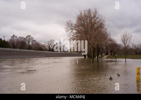 Météo temps frais et deux jours de pluie, neige et pluie verglaçante était trop pour la rivière Thames pour gérer comme il se leva sur ses rives Banque D'Images