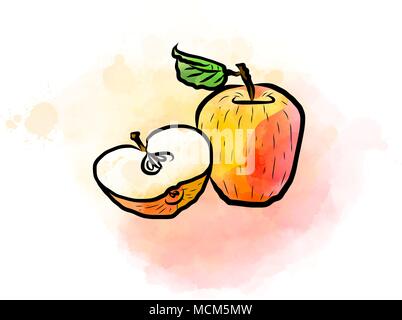 Dessin couleur de pommes. Conception de produits frais fruits colorés réalisés à l'aquarelle de style. Vector illustration marketing sur fond blanc. Illustration de Vecteur