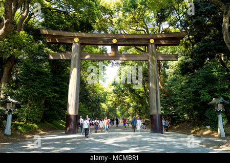 Torii menant au sanctuaire Meiji complex Banque D'Images