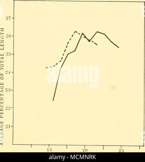 . -R 15 - 20 LONGUEUR DE WHALE EN MÈTRES Fig. 62. Les rorquals communs. Mesure no 20. Condyle, tête coupée à la pointe. Banque D'Images