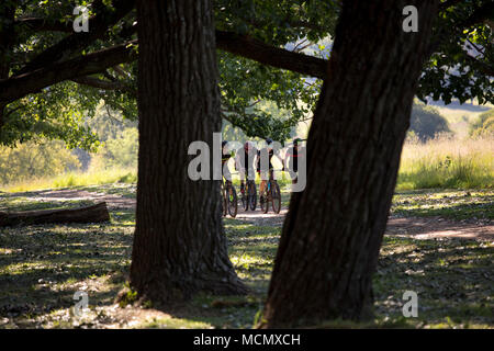 Les cyclistes à cheval dans un parc Banque D'Images