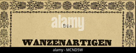 . WANZENARTIGEN -&gt ;" ?"€- Getreu nach der Natur und beschrieben abgebildet ®8 ^^^^m w s^^^B km mMm Erster Band. Fünftes Heft. f^^S'9 LFO-ausgemalten Tafeln Mit sechs fein. NÜRNBERG, dans der G. H. Zeh'schen Buchhandlung. 1833. Banque D'Images