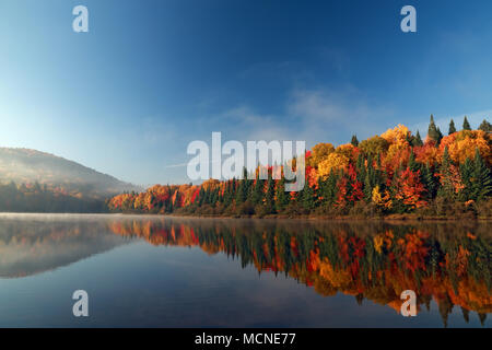 Lever du soleil, l'automne forêt se reflétant dans l'eau. Parc national du Mont-Tremblant, Québec, Canada. L'automne au Canada. Banque D'Images