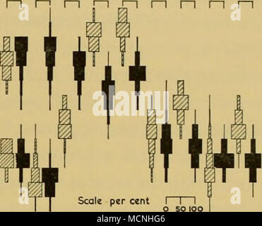 . 30 40 40 40 40 40 40 40 40 40 40 70 49 27 58 37 216 III J20 97 40 40 40 20 40 40 18 37 42 55 99 79 702 61 9 40 lOO lOO J03 AUCUN 42 40 40 3IO 40 30 216 100 100 100 Wc lOO 52 280 27 189 48 379 61 113 40 116 40 116 588 325 522 68 64 60 DATE 55 52 48 44 J ' I 40 Â Â" 36 z 24 à 20 J 16 U 12 "^ I DATE 6864 ^ à 60 O 56 O 52 2 48 cr s '^ . 36 O 32 &Lt ; 28 "^ 24 f 20 O 16 ::i s o 12 13 février 1920 23 31 2 36 12 13 14 II 18 22 23 24 28 J'^MARS Banque D'Images