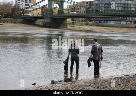 London UK. 17 avril 2018. Hammersmith Londres : une équipe de bénévoles participent à la Tamise 21 le projet de nettoyage à grand Londres pour aider à éliminer les déchets plastiques qui été écartée et accumulés sur la rive de la rivière Credit : amer ghazzal/Alamy Live News Banque D'Images