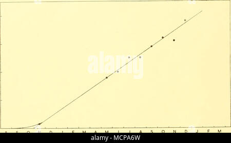 . N M MJJASOND »  ' mois Text-fig. 3. La croissance fœtale à longueur d'hémisphère sud cachalot, Physeter catodon (points représentent les moyennes mensuelles). Pour le marsouin commun, Mohl-Hansen (1954) fournit aussi des données sur la longueur de 119 fœtus de la Baltique. Des femelles à maturité sexuelle jugée 84 % étaient enceintes ; il n'y avait pas deux groupes longueur du foetus, et ce en collaboration avec d'autres données donnent une preuve frappante que la période de gestation est de moins d'un an. Il estime que l'appariement a lieu en juillet et août et que la durée de la grossesse "devrait être 11, ou au moins lo-ii, 9-1 mois, au lieu de Banque D'Images