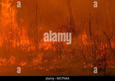 Maceda, Galice / Espagne - Oct 16 2017 : feu de forêt. Banque D'Images