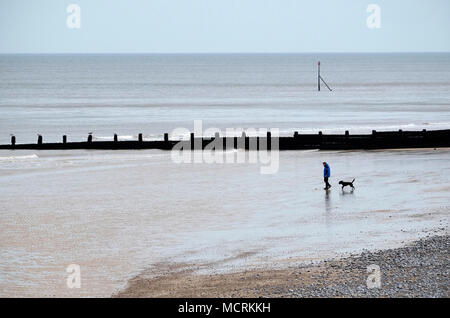 L'homme promenait son chien sur la plage de Cromer, North Norfolk, Angleterre Banque D'Images