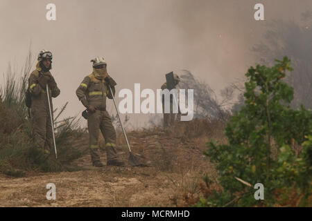 Maceda, Galice / Espagne - Oct 16 2017 : feu de forêt. Banque D'Images