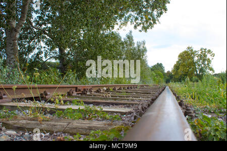 Des voies de chemin de fer sont en retard sur l'horizon. Arbres et buissons sur les côtés. Banque D'Images