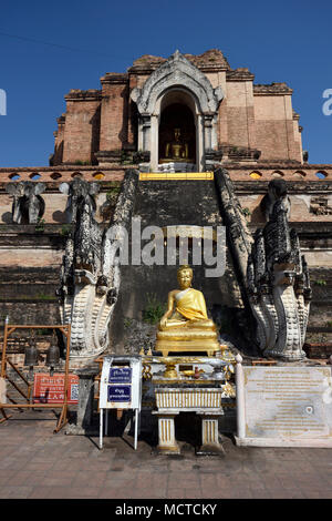 Statues de Bouddha en or et de dragons au grand temple de chedi Pagode Wat Chedi Luang, Chiang Mai, Thaïlande Banque D'Images