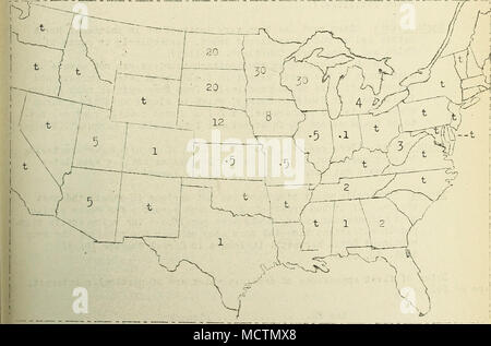 . Cochon. 24. Pourcentage estimé de la réduction du rendement de la rouille des ATheat, 1920. Commentaires d'un intérêt particulier sur l'occurrence et la gravité de l'infection sont les suivants : Michigan : "La rouille noire du blé d'hiver a probablement réduit par le montant moyen j qui, avec la rouille, a généralement été considéré comme moins de 5  %* des cas n'a été trouvé dans la catégorie inférieure des comtés où la perte sévère a été associée à d'épine-vinette, à proximité de champs. Dans la superficie de blé de printemps, qui est en grande partie dans le nord de la péninsule, la perte de la rouille noire était pire dans les années, le blé en général je être shrive Banque D'Images