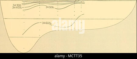 . TRINITY PENIN* fig- 33- section verticale de la salinité : à l'île Livingston Trinity Péninsule, novembre 1929. l'eau est de nouveau à la gare la plus proche de la péninsule de Trinity, St. WS 487. Le mélange vertical complet qui a été trouvée à la station correspondante, St. WS 480, sur la ligne de l'île du Roi George n'est pas vu à 487 WS St.. La chaleur de l'eau profonde a ses Banque D'Images