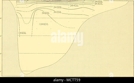 . Fig. 17. Section verticale de la salinité : l'île du Roi George à la péninsule de Trinity, février 1929. TRINITY PENIN* Poste WS382 W5383 WS384 WS385 LE ROI GEORGE I.   2Q° |5°  ii WS38G WS387 WS388 10° 500 1000 1500 2000M Banque D'Images