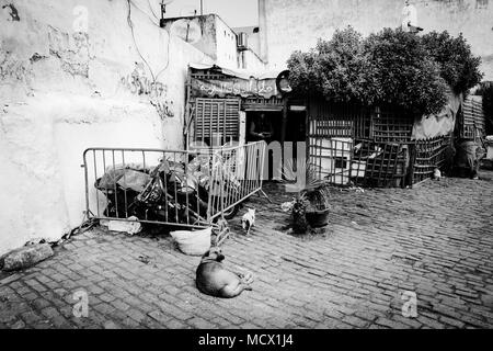 Vieille photo noir et blanc d'un simple atelier de réparation de cyclomoteurs à côté de l'ancien souk à Casablanca, Maroc Banque D'Images