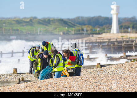 Groupe de personnes sur une plage, ramasser les déchets. Les gens de déposer les ordures d'une plage au Royaume-Uni. Banque D'Images