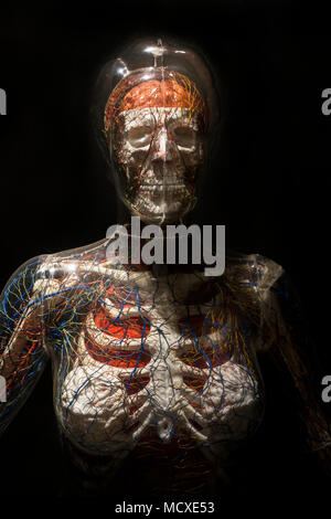 Dittrick Medical history center et museum Cleveland Ohio Banque D'Images