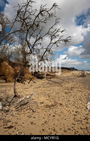 Benacre Beach Suffolk Banque D'Images