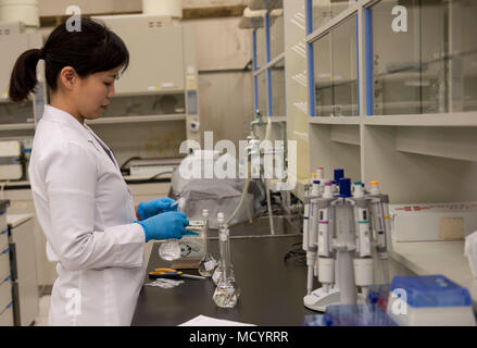 Akane Amagai, 18e Escadron en médecine aérospatiale médecine préventive des services de laboratoire de vol, chimiste preps échantillons à tester le 8 mars 2018, à Kadena Air Base, au Japon. Les tests de laboratoire d'éléments trouvés dans l'environnement de l'Okinawa, Japon, tels que l'eau, l'huile et le sol. (U.S. Photo de l'Armée de l'air par la Haute Airman Jessica H. Smith) Banque D'Images