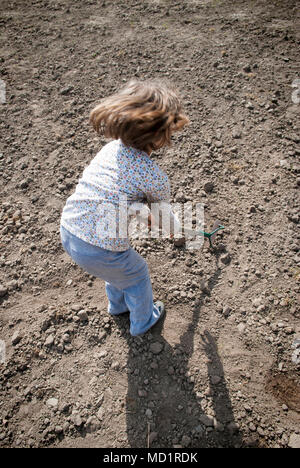 Fille de creuser dans le sol organique sèche par binette. Banque D'Images