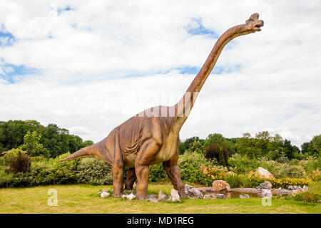 Sculpture de dinosaure Diplodocus Sauropoda ( , ) à vivre la taille. Banque D'Images