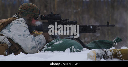 Un U.S. Marine avec la compagnie Kilo, 3e Bataillon, 8e Régiment de Marines, une mitrailleuse M240B pendant un exercice d'entraînement à Fort Greely, en Alaska, le 15 mars, dans le cadre de l'armée américaine dirigée par l'Alaska de la composante terrestre de la Force conjointe à l'appui de la commande de l'Alaska l'exercice Arctic Edge 18 menée sous l'autorité du Commandement du Nord des États-Unis. Arctic Edge 2018 est un exercice biennal, à grande échelle, de l'exercice de formation qui prépare et teste la capacité de l'armée américaine à exploiter tactiquement dans le froid extrême-conditions météo trouvés dans les milieux arctiques. (U.S. Air Force photo : CAPT V Banque D'Images