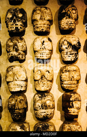 Pierre aztèque crânes trouvés au site Templo Mayor. Ils représentent le tzompantli ou racks crâne où les chefs de victimes sacrificielles ont été placés. Te Banque D'Images
