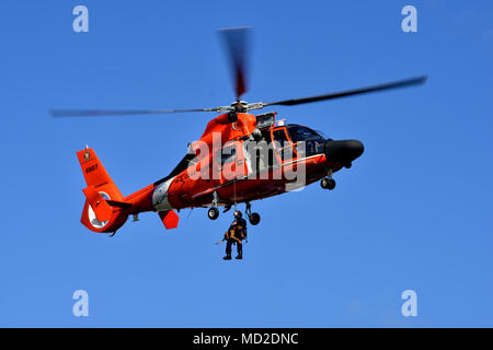 Garde côtière canadienne Maître de 1re classe Sumner Cory et son partenaire canin Feco, affecté à la sécurité maritime et l'équipe de sécurité 91105 basée à Alameda, Californie, effectuer une prestation verticale et de levage de l'exercice avec un Air Station San Francisco à bord d'un équipage d'hélicoptère MH-65 Dolphin au cours d'une démonstration du programme de détection des explosifs Canine sur l'île de la Garde côtière à Alameda, 23 mars 2018. Sumner et Feco train pour fonctionner partout où elles sont nécessaires et peuvent être levées de l'air en hélicoptère et hissé jusqu'à un pont de bateau. Banque D'Images