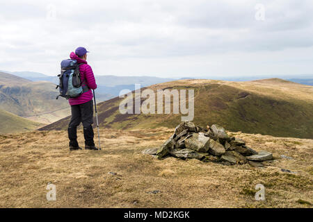 Walker sur le dessus de la farine a baissé, avec vue vers Grand Cockup, Uldale Fells, Lake District, Cumbria, Royaume-Uni Banque D'Images