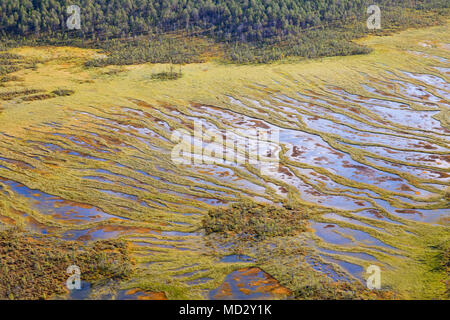 Swamp, vue du dessus Banque D'Images