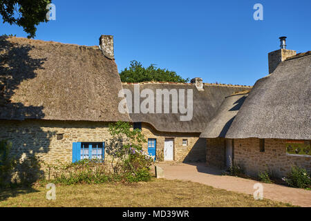 France, Loire-Atlantique, parc régional de Brière, Saint-Lyphard Banque D'Images