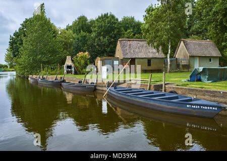 France, Loire-Atlantique, parc régional de Brière, Saint Joachim Banque D'Images