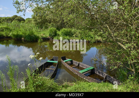 France, Loire-Atlantique, parc régional de Brière, Saint Joachim Banque D'Images