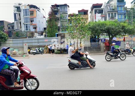 Hanoi, Vietnam. Apr 15, 2018. Un arbre sur un scooter dans les rues de Hanoi, Vietnam. Credit : Rory joyeux/ZUMA/Alamy Fil Live News Banque D'Images