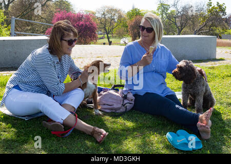 Gravesend, Royaume-Uni. 18 avril, 2018. Deux dames se détendre avec une glace à Gravesend Prom par la Tamise. Il a été une chaude journée ensoleillée à Gravesend, Kent. Gravesend souvent les températures les plus élevées dans le pays. Rob Powell/Alamy Live News Banque D'Images