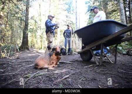 PORT Orchard, Washington (10 mars 2018) l'Aviation aviateur Ordnanceman Justin de Jacksonville en Floride, Elliot et deux ferme Howe County parc à chiens bénévoles discuter la tâche au cours d'une coalition de marins contre les décisions destructrices (CSADD) sortie de service communautaire pour les marins affectés au porte-avions USS Nimitz (CVN 68), le 10 mars 2018. Les marins CSADD promouvoir des choix positifs et développer le leadership en organisant les réseaux sociaux locaux, facilitant les discussions, en produisant des messages visuels, la promotion de la participation communautaire et l'accueil des activités de loisirs. Nimitz mène un projet d'accueil Banque D'Images