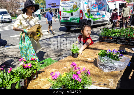 Flower stall, marché des producteurs à Kulatak, Dejvice, Prague, République Tchèque Banque D'Images