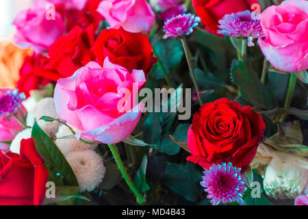 Vintage rose pastel de fleurs de couleur et texture modèle créatif design avec bannière d'arrière-plan Banque D'Images