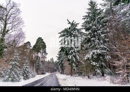 Road dans les Vosges en hiver. Département de France Banque D'Images