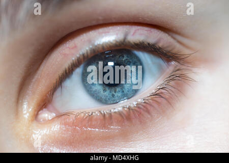Portrait Of Beautiful Blue Woman Eye Looking at Camera Banque D'Images