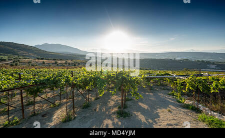 Vue panoramique sur la montagne et sur le terrain agricole, Crète, Grèce Banque D'Images