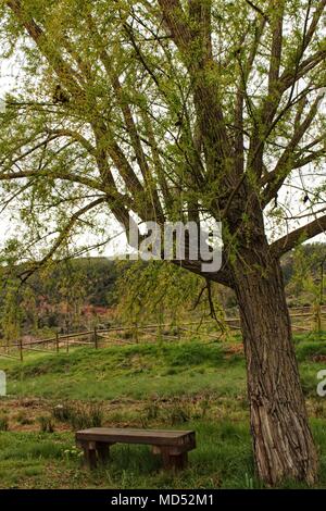 Banc en bois, entouré de végétation et de fleurs dans un parc dans un village de l'Espagne Banque D'Images