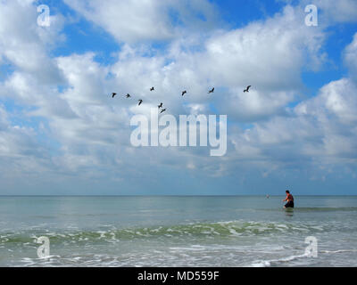 L'homme de plonger dans le golfe du Mexique à Indian Rocks Beach, Florida, USA, 2017 © Katharine Andriotis Banque D'Images