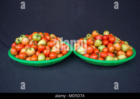 Les concombres, les tomates et les produits agricoles de Da Lat sont récoltés et stockés sur des étagères en bambou dans des champs de plastique Banque D'Images