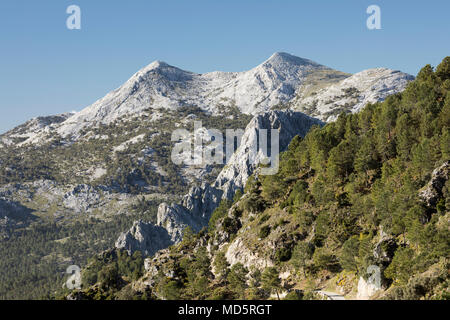 Les pics d'El Simancon et El Reloj avec les montagnes Sierra del Pinar, Parc Naturel Sierra de Grazalema, Andalousie, Espagne, Europe Banque D'Images