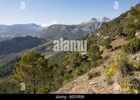 Les pics d'El Simancon et El Reloj avec les montagnes de la Sierra del Pinar mirador del Puerto de las Palomas et Parc Naturel Sierra de Grazalema Banque D'Images