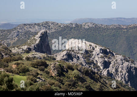 Vue du Mirador Puerto del Boyar, Grazalema, Parc Naturel Sierra de Grazalema, Andalousie, Espagne, Europe Banque D'Images