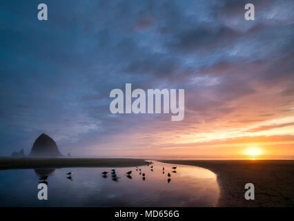 Cannon Beach au coucher du soleil avec Haystack Rock, flux et couple avec chien. Oregon Banque D'Images