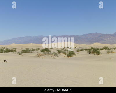 Quelques personnes. Les gens dans le désert. Dunes de sable du désert. Banque D'Images